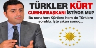 Türkler, Kürt cumhurbaşkanı istiyor mu?