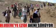 Uludere'ye Ezidi akını sürüyor