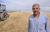 Urfalı çiftçiler: Yağışlardan dolayı perişan...