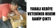 Yaralı Kediye Veteriner Hekim Sahip Çıktı