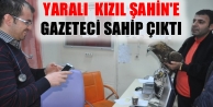 Yaralı Kızıl Şahin'e Gazeteci Sahip Çıktı