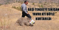 Yavru Ayı Böyle Kurtarıldı