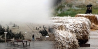 Yılın ilk karı yağdı, kent beyaza burundu