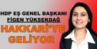Yüksekdağ Hakkari'ye Geliyor