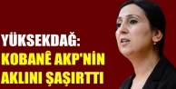 Yüksekdağ: Kobanê AKP'nin aklını şaşırttı