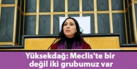 Yüksekdağ: Meclis'te bir değil iki grubumuz var