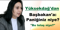 Yüksekdağ'dan Başbakan'a: Paniğiniz niye?