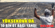 Yüksekova’da 10 Bin Ot Bağı Yandı