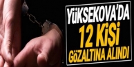 Yüksekova'da 12 kişi gözaltına alındı