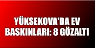 Yüksekova'da 8 gözaltı