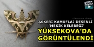 Yüksekova'da Askeri Kamuflaj Desenli 'Mekik Kelebeği' Bulundu