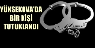 Yüksekova'da bir kişi tutuklandı