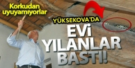 Yüksekova'da Evi Yılanlar Basınca, Evlerini Terk Ettiler