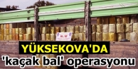 Yüksekova'da 'kaçak bal' operasyonu