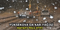 Yüksekova'da Kar Yağışı Hayatı Felç Etti