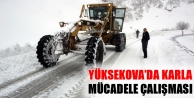 Yüksekova'da Karla Mücadele Çalışması