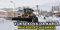 Yüksekova'da Karla Mücadele Çalışması