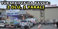 Yüksekova'da Kavga: 2 Ölü, 1 Yaralı