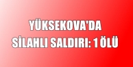 Yüksekova'da silahlı saldırı: 1 ölü