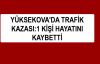 Yüksekova'da trafik kazası