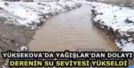 Yüksekova'da yağışlar'dan Dolayı Derenin Su Seviyesi...