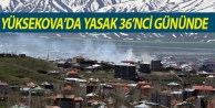 Yüksekova’da Yasak 36’nci Gününde 