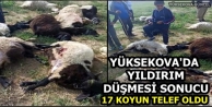 Yüksekova'da Yıldırım Düşmesi Sonucu 17 Koyun...