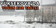 Yüksekova'da Yoğun Kar Yağışı