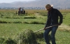 Yüksekovalı Çiftçilerin Ot Biçme Telaşı