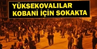 Yüksekovalılar Kobani için sokakta 