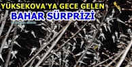 Yüksekova'ya Gece Gelen Bahar Sürprizi