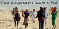 Êzidîler insan tacirlerinin hedefinde
