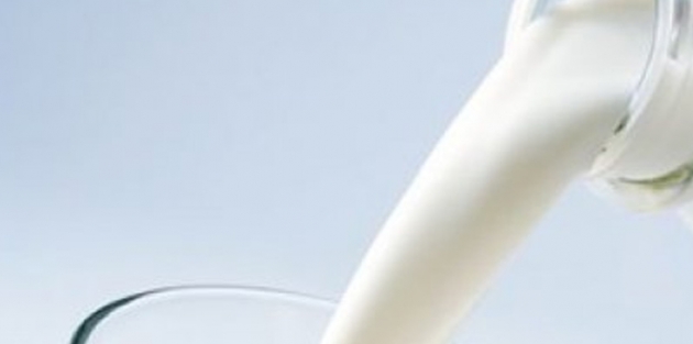 Toplanan inek sütünde artış!