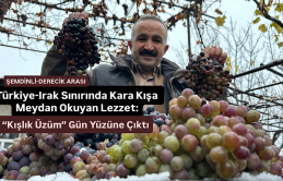 Türkiye-Irak Sınırında Kara Kışa Meydan Okuyan Lezzet: “Kışlık Üzüm” Gün Yüzüne Çıktı