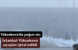 Yüksekova’da yoğun sis: İstanbul-Yüksekova uçuşları iptal edildi