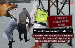 Yüksekova'da kuduz alarmı: Ekiplerin hızlı müdahalesiyle durum kontrol altına alındı; aşılama ve bilgilendirmeler sürüyor
