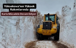 Yüksekova’nın Yüksek Rakımlarında Karla Mücadele Devam Ediyor