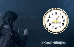 Kürtçe için anayasal güvence çağrısı