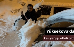 Yüksekova’da kar yağışı etkili oldu