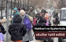 Hakkari ve ilçelerinde okullar tatil edildi