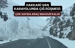 Yüksekova-Van karayolunda çığ düşmesi: Çok sayıda araç mahsur kaldı