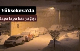 Yüksekova’da Kar Yağışı