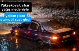 Yüksekova’da bir otomobil yoldan çıkarak suya girdi