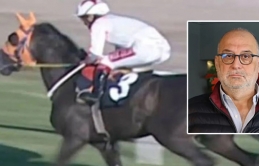 Kavurmadan İngiliz yarış atı çıkmıştı: Sahibine 132 bin TL ceza!