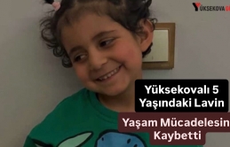 Yüksekovalı 5 Yaşındaki Lavin Yaşam Mücadelesini Kaybetti