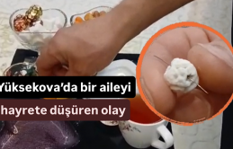 Yüksekova’da bir aileyi hayrete düşüren olay