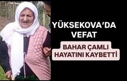 Çamlı ailesinin acı günü