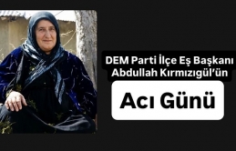 DEM Parti İlçe Eş Başkanı Abdullah Kırmızıgül’ün Acı Günü