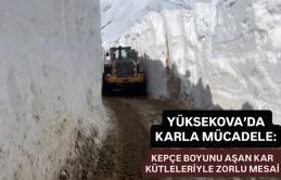 Yüksekova’da karla mücadele: Kepçe boyunu aşan kar kütleleriyle zorlu mesai