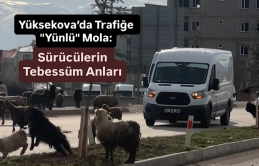 Yüksekova’da Trafiğe